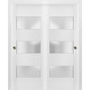 Closet Frosted Glass 3 Lites Bypass Doors 36 x 80, Lucia 4070 White Silk, Kit