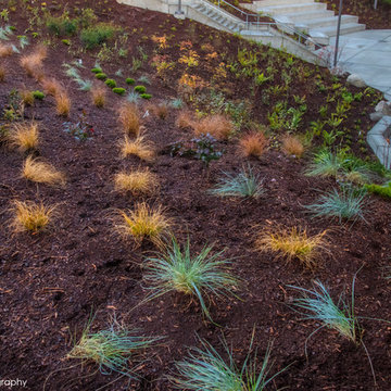 COMMERCIAL LANDSCAPE SERVICES