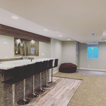 Basement Bar Remodel