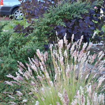 Burlingame Mediterranean