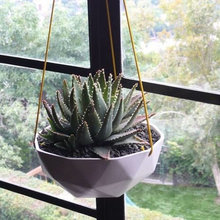 PLANTS