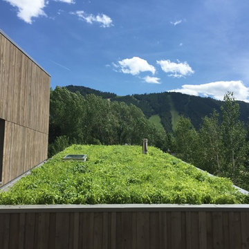 Frederick Landscaping scenes