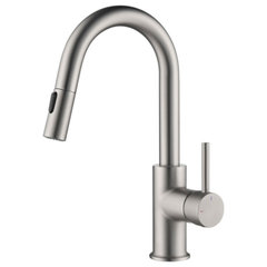 Concetto Single-Handle Pull-Down Kitchen Faucet Dual Spray 1.75 GPM