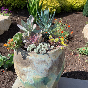 Medina Cottage Patio Garden
