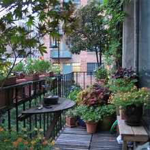 Garden in balcon