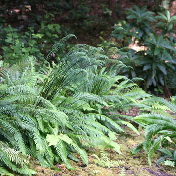 Woodland Event Space, Port Orchard, WA