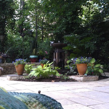 DC Back Yard Re-Programming