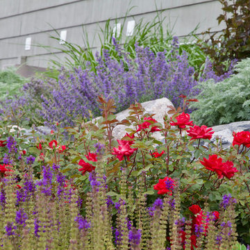 Plant Combinations