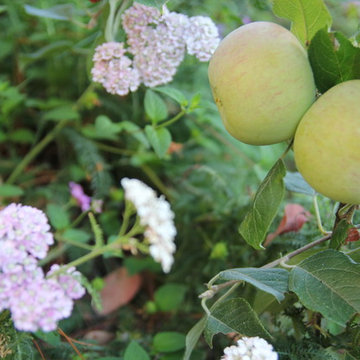 Mediterranean Edible