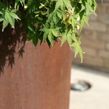 Giardino con siepe campestre