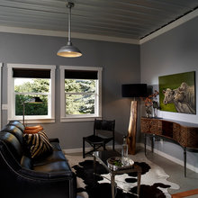 Living Room Ideas