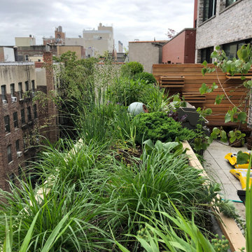 East Village Terrace