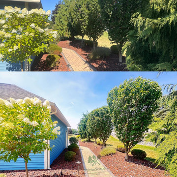 Full Landscape Redesign & Pruning – Baldwinsville, NY