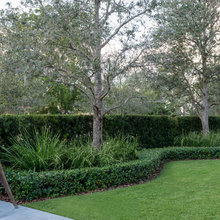 Landscape Ideas