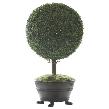 Boxwood Topiary In Classic Decorative Urn