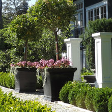 outdoor plants