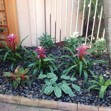 Tropical Landscape Design