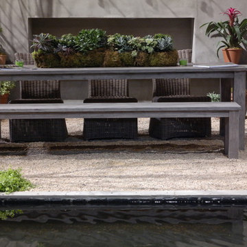 Natural Swimming Pool. 2014 Chicago Flower and Garden Show
