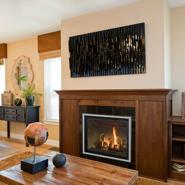 Kozy Heat Direct Vent Fireplaces