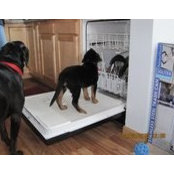 Michelle Kolpien's photo