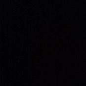 t ts foto