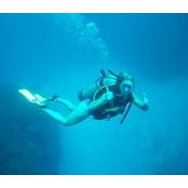 Niki Sofronas's photo