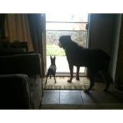 Tami Alcoran's photo