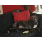 Patricia Schmidt-Lebert's photo