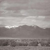 Cindi Schweitzer's photo