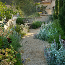 Landscape & Exterior