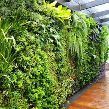 Vertical Garden