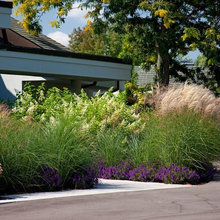 landscaping/plantings