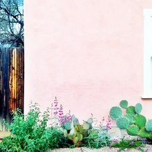 Tucson - Landscaping