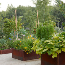 House Garden changes