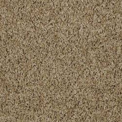 Shaw Anso Carpet - Flooring