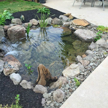 Backyard Fish Pond Installation