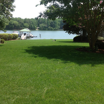 Elite Tall Fescue Sod at Lake