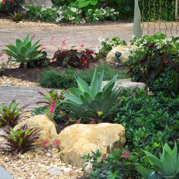 Tropical Garden planting