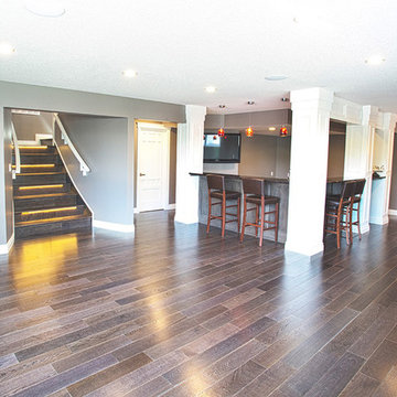Basement Renovations