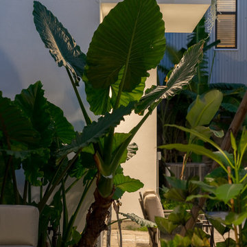 Heights Oasis Garden