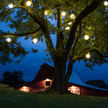 Special Event Lighting - Wedding, Party, Meeting