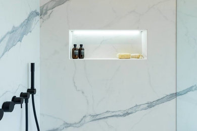 Home design - contemporary home design idea in Chicago