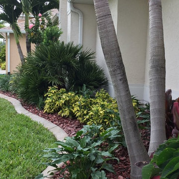 Tropical front & backyard landscapes....Palms & Color