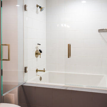 Lake Shore Drive Contemporary Gut Renovation