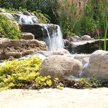 Swimming pond paradise