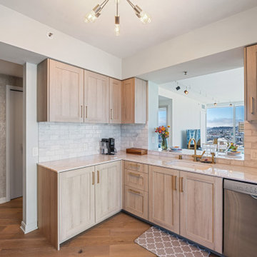 Harrison Condo redesign