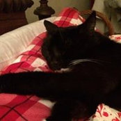 Christine Aldinger's photo