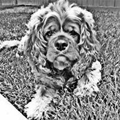 Lindsay Farr's photo