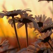 Sherri Crowley's photo