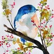 Renatta Stevens's photo